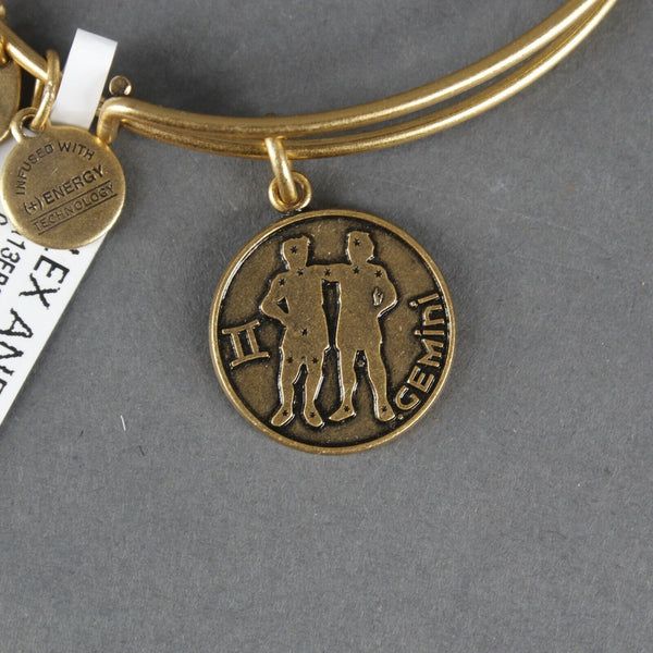 Alex Ani 2015 NEW $28 Goldtone Dangle Charms Gemini Bangle Bracelet
