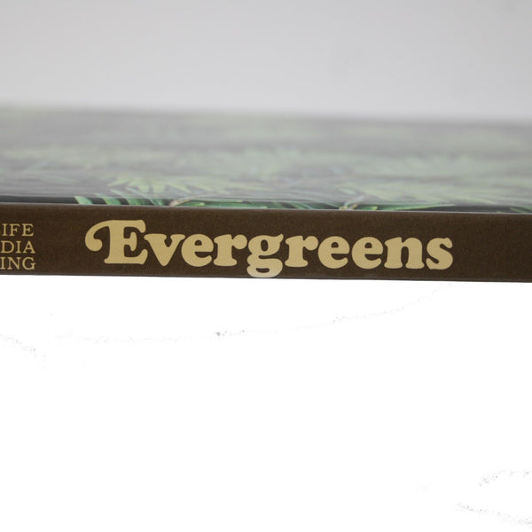 Evergreens By James Underwood Crockett 1971 Hardcover Book