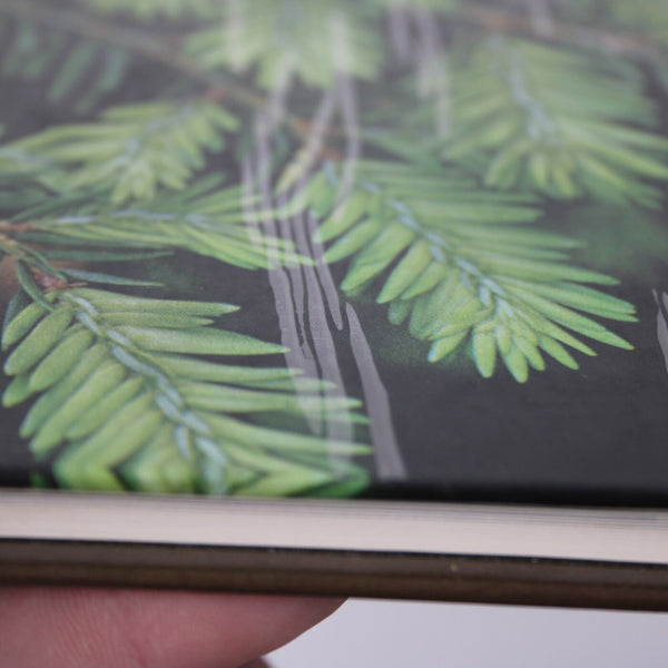 Evergreens By James Underwood Crockett 1971 Hardcover Book