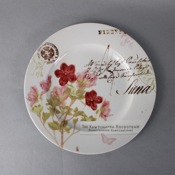 Primavera Plate Set Rosanna Collectible 19th Century England Bone China Plate