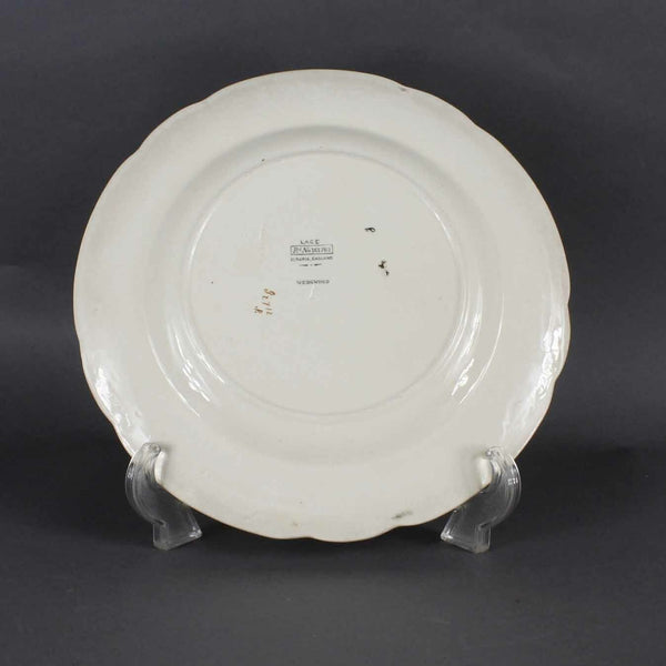 WedgWood Lace 10 X 1 Cream Multicolor Ra No 161762 Dinner Plate 854 #6I
