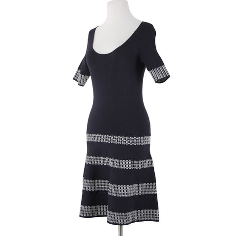 Ann Taylor NEW $149 Sz XS Blue White Tight Knit Fit Flare Rayon Nylon Dress