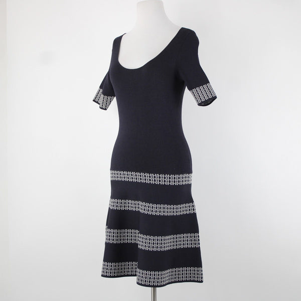 Ann Taylor NEW $149 Sz XS Blue White Tight Knit Fit Flare Rayon Nylon Dress