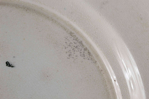 WedgWood Lace 10 X 1 Cream Multicolor Ra No 161762 Dinner Plate 854 #9I
