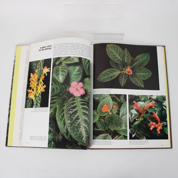 Gardening Under Lights By Wendy B. Murphy 1978 Hardcover Book