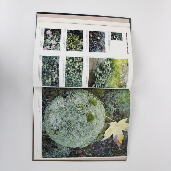 Miniatures and Bonsai by Philip Perl 1979 Hardcover Book