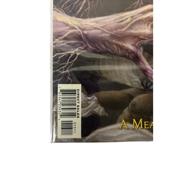Swamp Thing #13 Vertigo Comics Comic Book