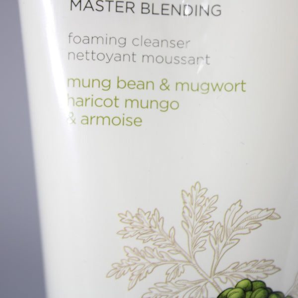 The Face Shop NEW Herb Day Master Blending 170ml/5.7 fl oz Foaming Cleanser