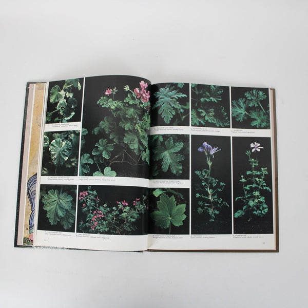 Herbs By James Underwood Crockett 1971 Hardcover Book