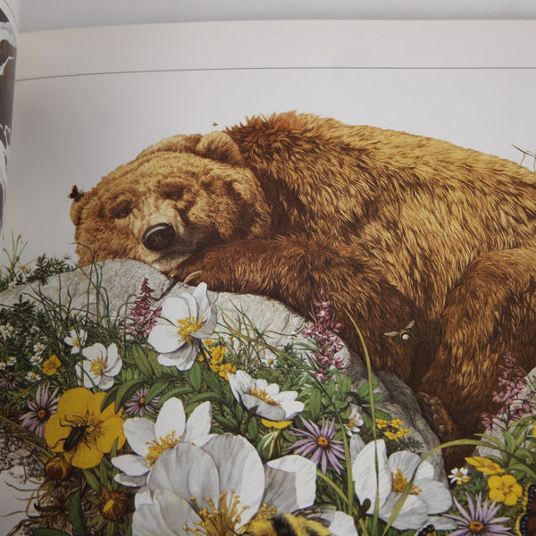 Visions The Art Of Bev Doolittle By Judith Hohl Softcover Book