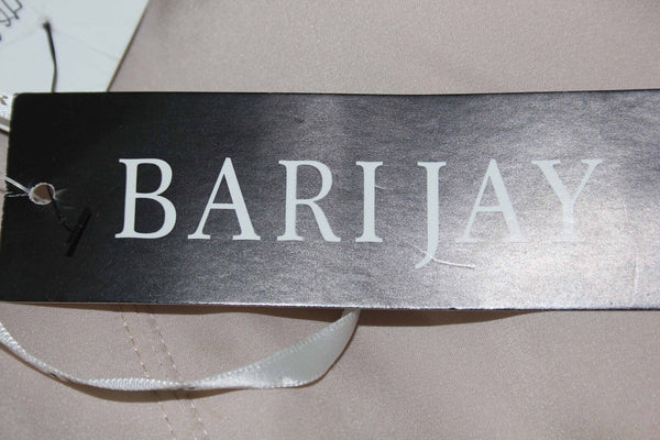Bari Jay NEW $250 Sz 10 Nude Tan Sheer Poly Pleated Bodice Rosettes Dress