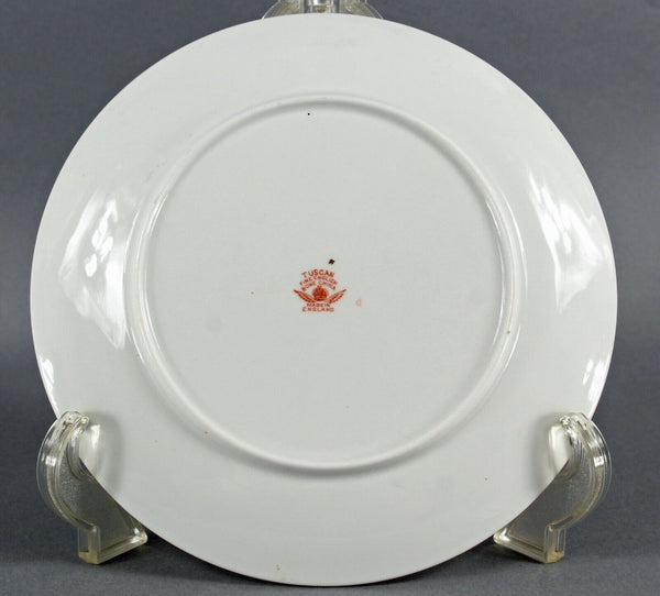 Tuscan England 8in White Green Multi Vine Embellished Gold Rim Salad Plate