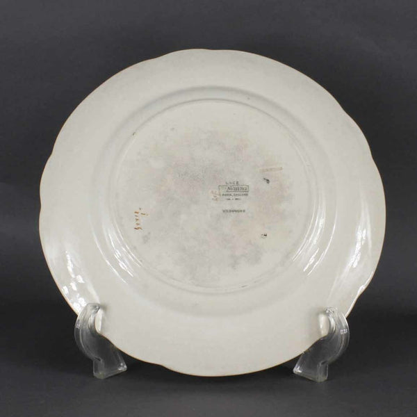 WedgWood Lace 10 X 1 Cream Multicolor Ra No 161762 Dinner Plate 854 #7I