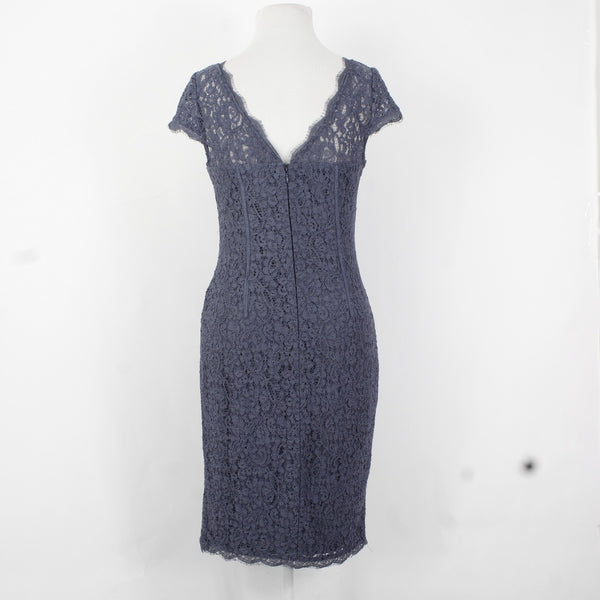 Adrianna Papell Dress Sz 4 Purple Lace Embroidered Lined Viscose Dress