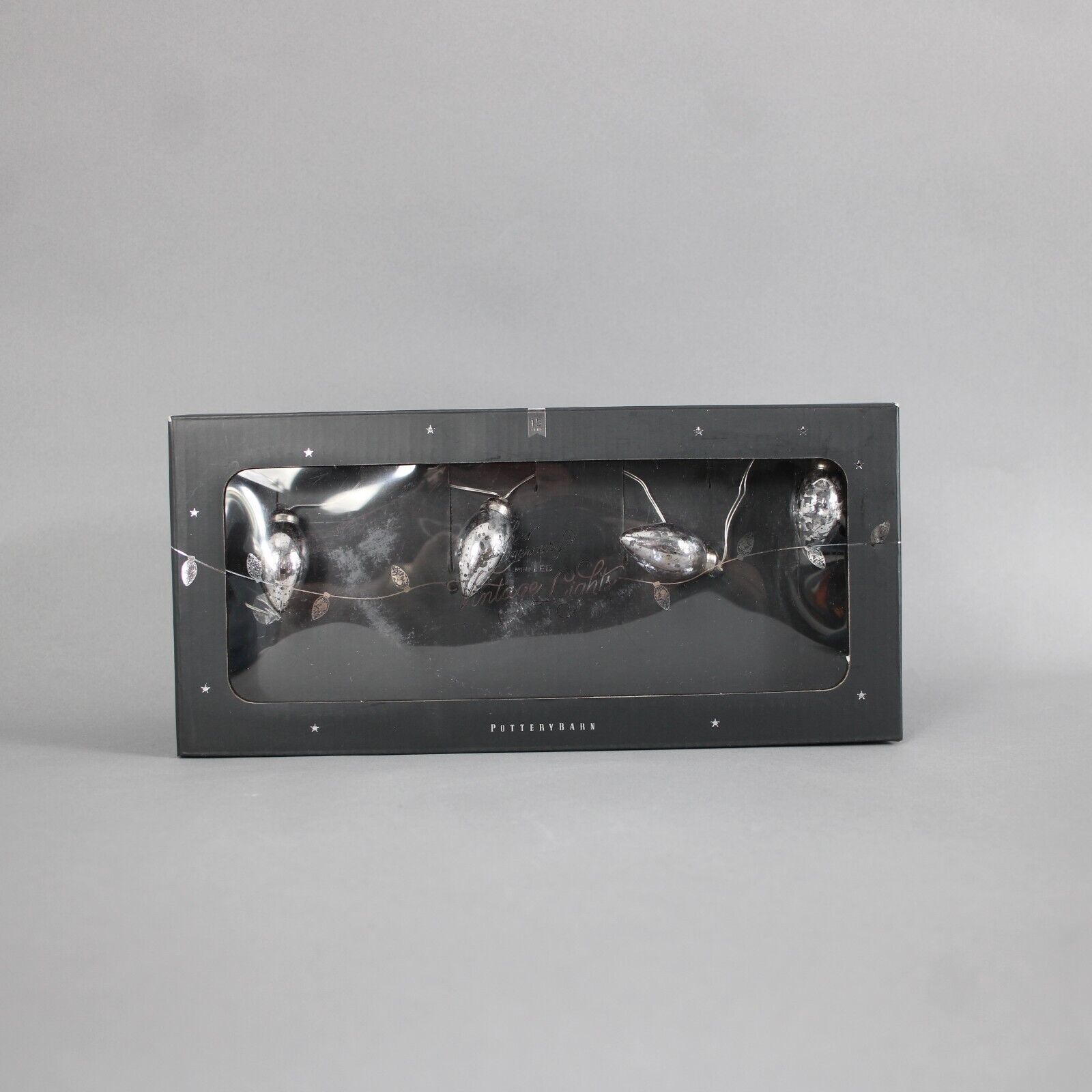 Pottery Barn Holiday Silver Mercury 15 Feet Mini Led Vintage Bulb Lights