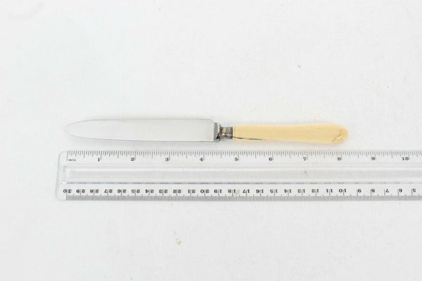 R Geller Knife Scrimshaw Collectible 8.5" Knife