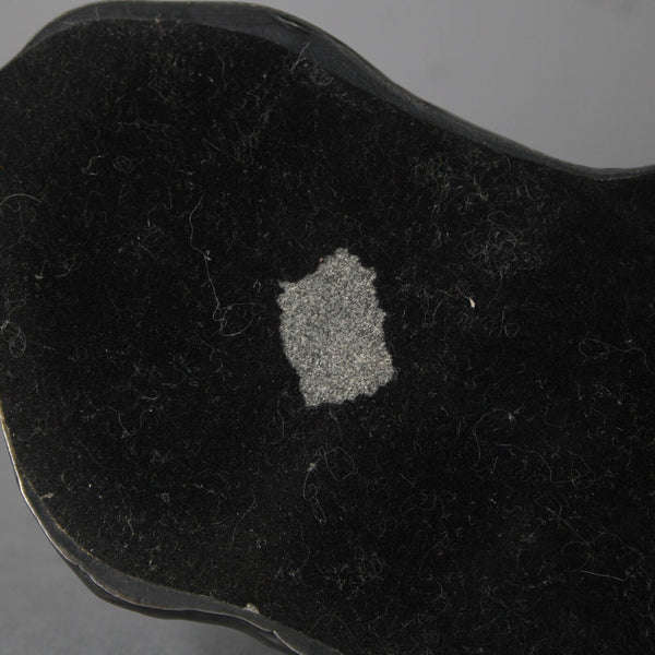 D'Argenta ? Silver Textured Cocker Spaniel 7" Figurine