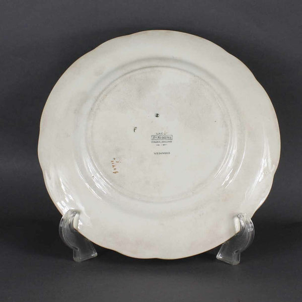 WedgWood Lace 10 X 1 Cream Multicolor Ra No 161762 Dinner Plate 854 #2I