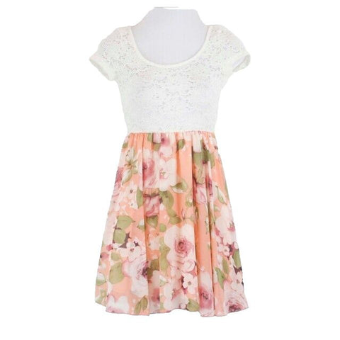 Windsor Sz S NWT Ivory Lace Peach Floral Poly Nylon Fit & Flare Dress
