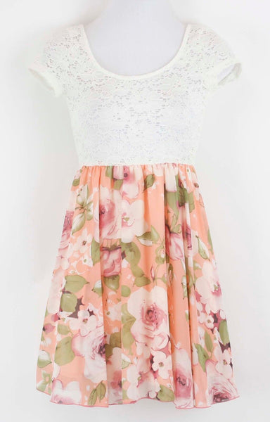 Windsor Sz S NWT Ivory Lace Peach Floral Poly Nylon Fit & Flare Dress
