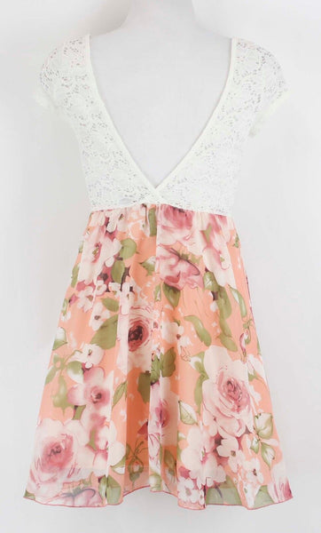 Windsor Sz S NWT Ivory Lace Peach Floral Poly Nylon Fit & Flare Dress