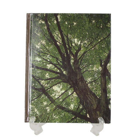 Trees By James Underwood Crockett 1971 Hardcover Book
